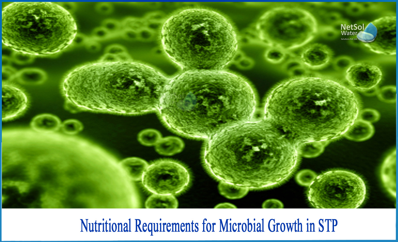 growth and nutrition of microbes, nutritional requirements of microorganisms, growth requirements of bacteria