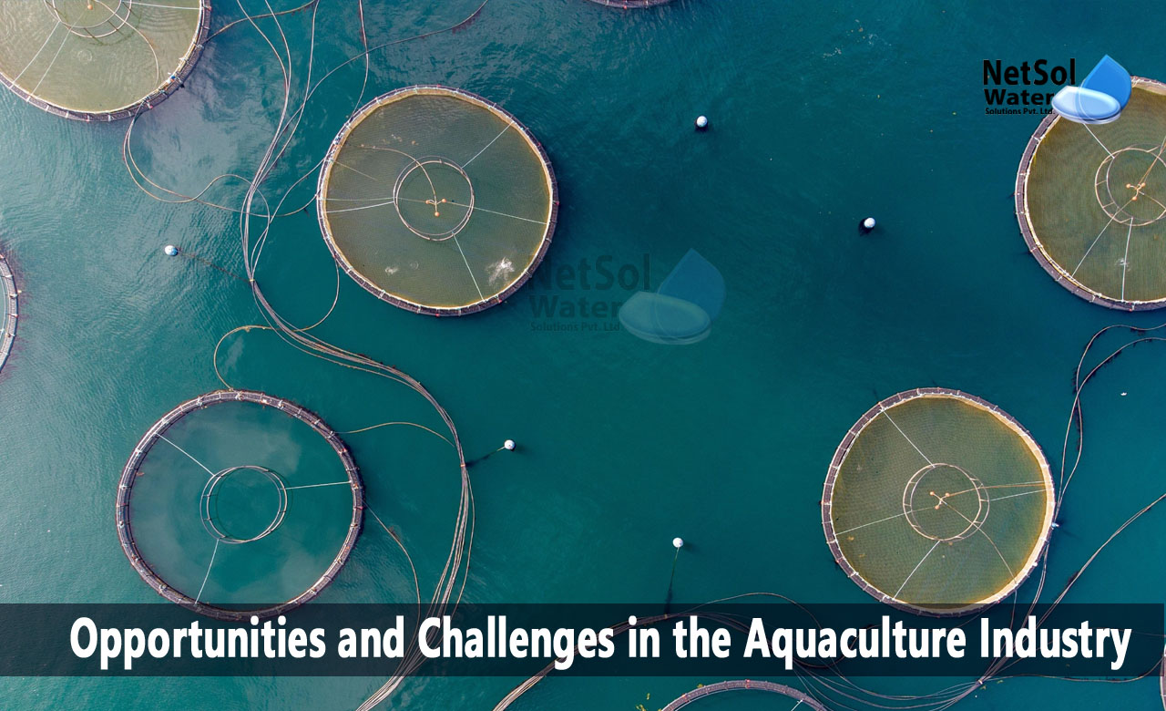 opportunities and challenges for aquaculture, aquaculture problems and solutions, 