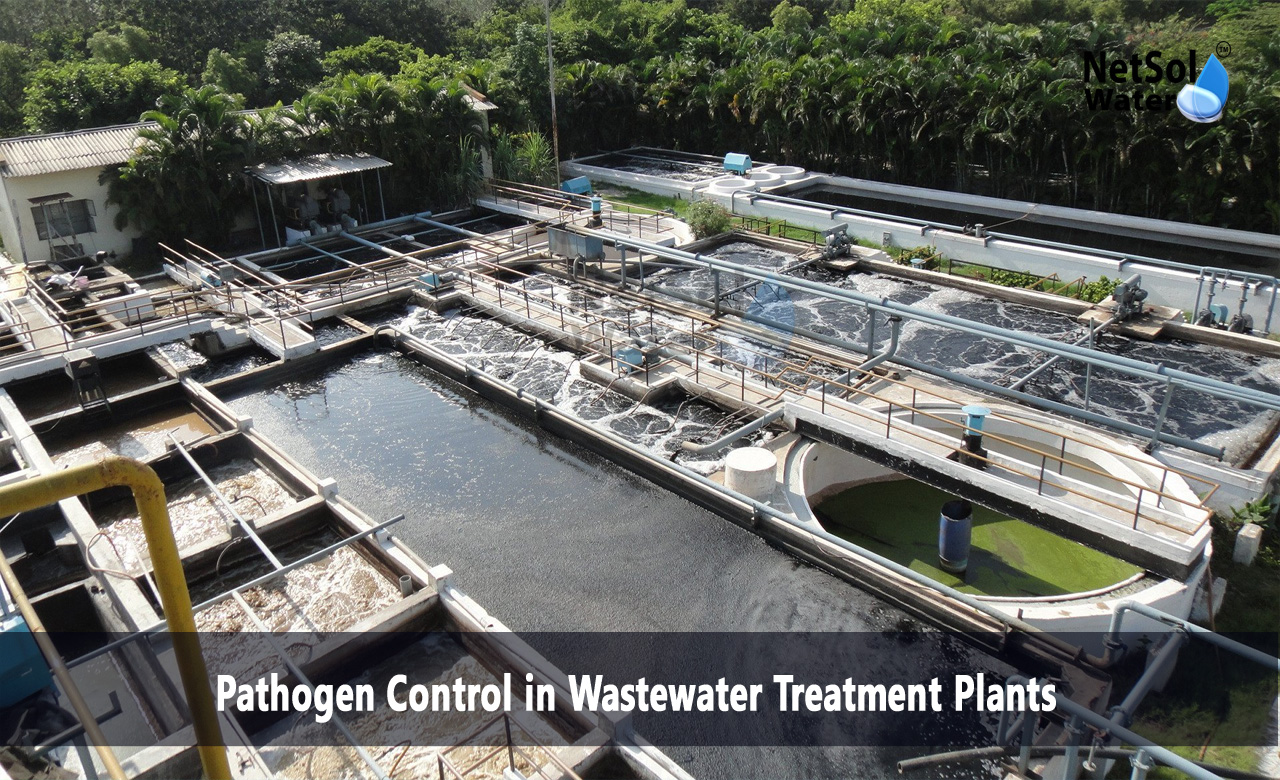 Do wastewater treatment plants remove pathogens, How are pathogens removed, How are pathogens removed from water