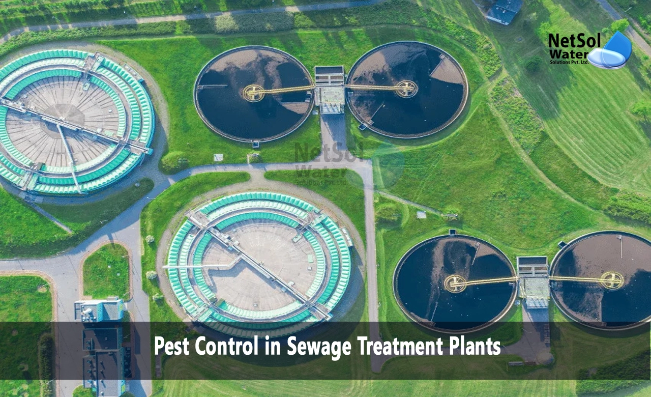 How do you remove pesticides from wastewater, How do you maintain a sewage treatment plant, Pest Control in Sewage Treatment Plants