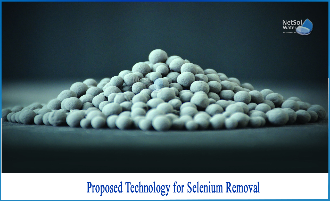 technologies for the removal of selenium from water, selenium ion exchange, differentiate the components of selenium and arsenic