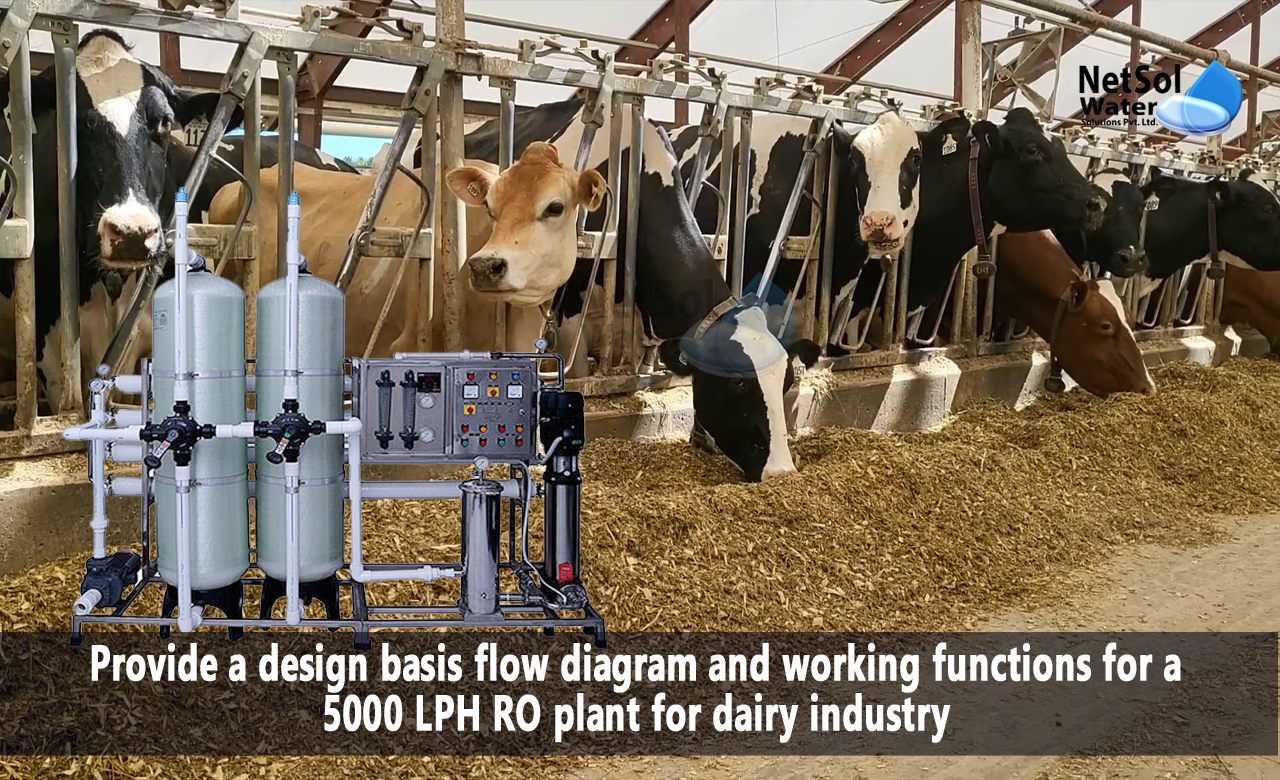 5000 lph ro plant price, 5000 lph ro plant specification, Design 5000 LPH RO plant for Dairy Industry