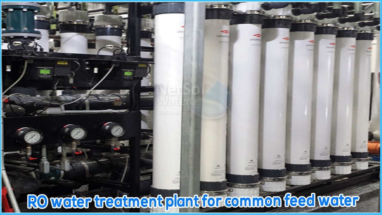 RO water treatment plant for common feed water