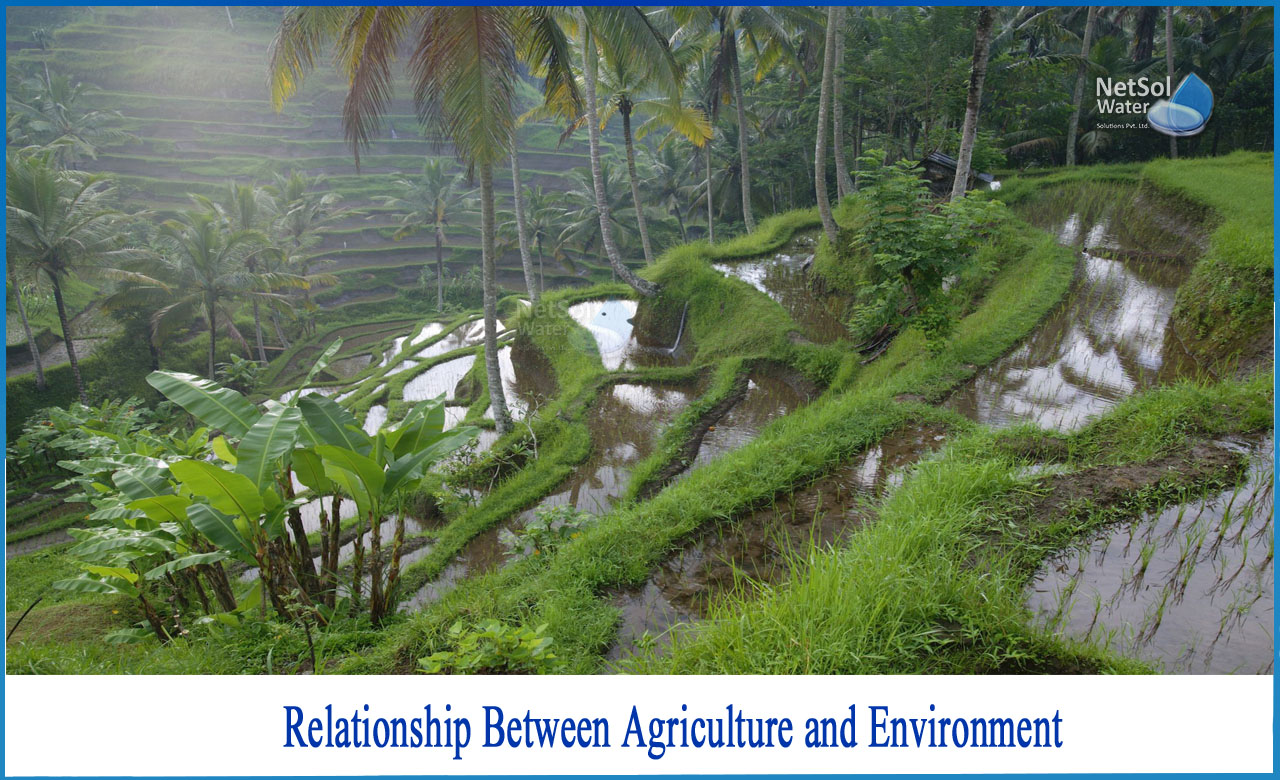 what is the role of environment in agricultural production, how can we reduce the environmental impact of agriculture, how does agriculture affect the environment negatively