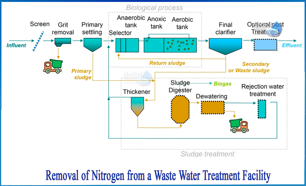 explain removal of nitrogen from water, biological removal of nitrogen from wastewater, removal of nitrogen and phosphorus from wastewater