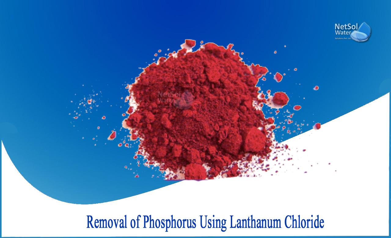 lanthanum chloride phosphate reaction, lanthanum chloride reef, lanthanum chloride toxicity