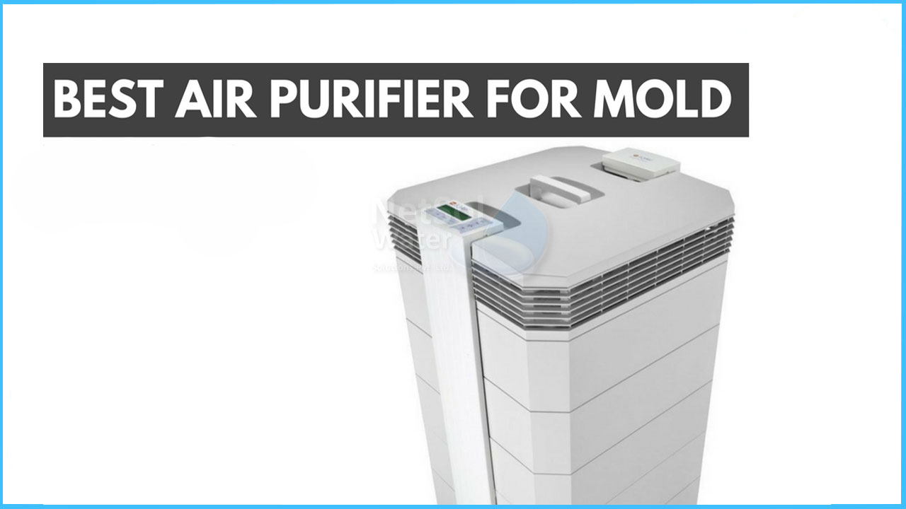 What air purifier is best for mold?, How to remove mold by using it?