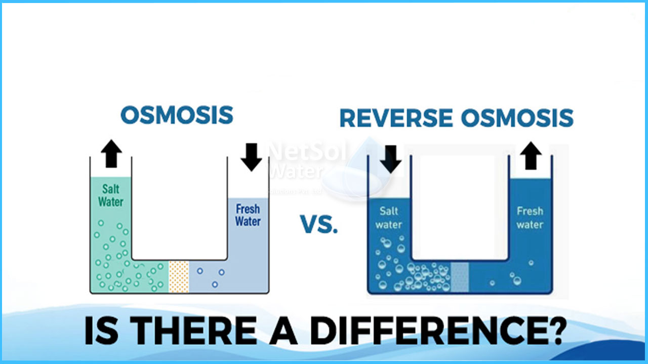 Revealing the truth - Osmosis vs Reverse osmosis 