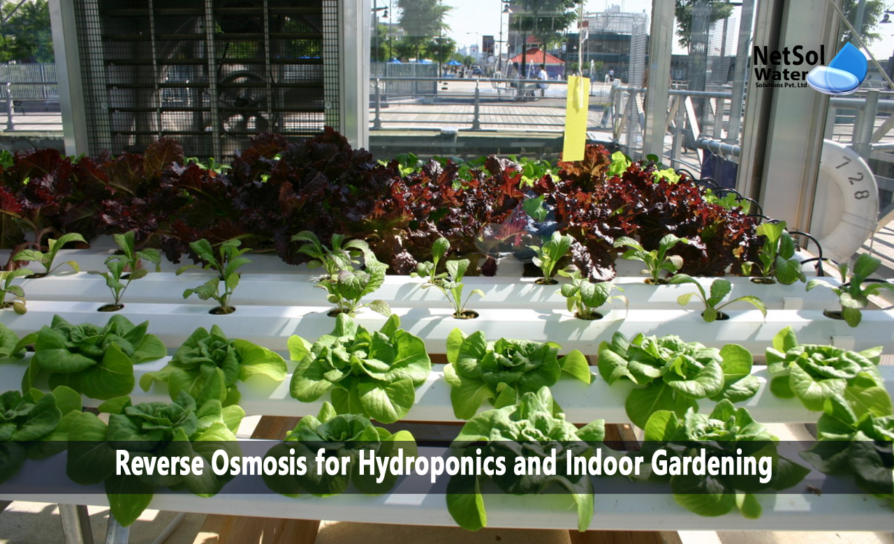 Reverse Osmosis for Hydroponics and Indoor Gardening