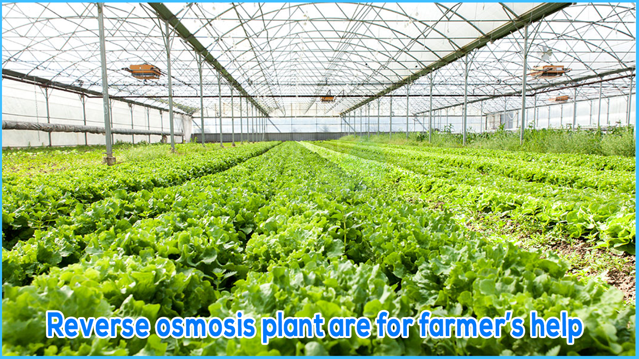 Reverse osmosis plant are for farmer’s help