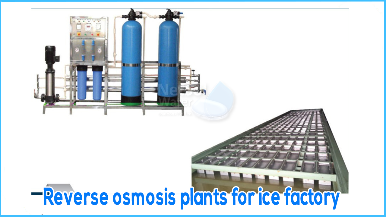 Reverse osmosis plants for ice factory, Netsol Water RO Manufacturer