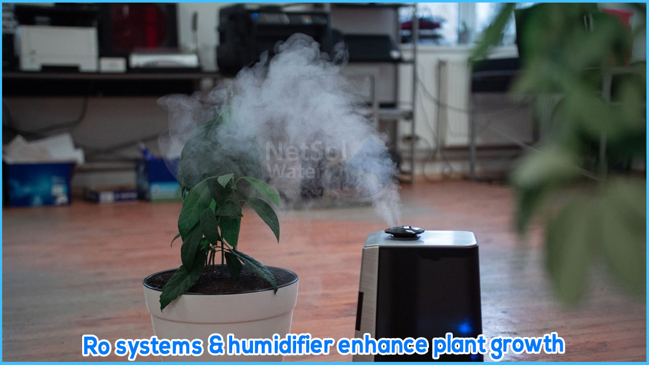 Ro systems & humidifier enhance plant growth