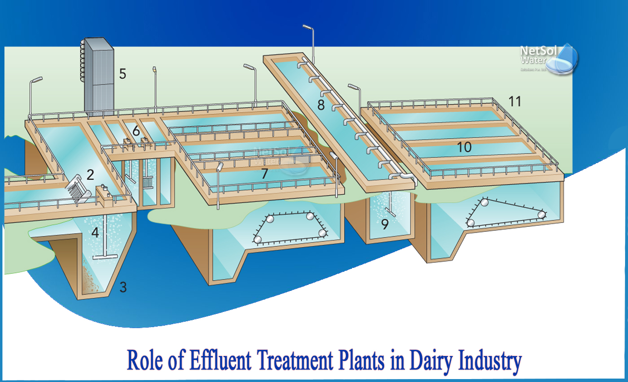 effluent treatment plant in dairy industry, etp plant process in dairy industry, biological treatment of dairy wastewater