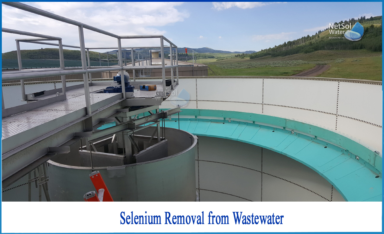 selenium water treatment, sources of selenium in wastewater, selenium ion exchange