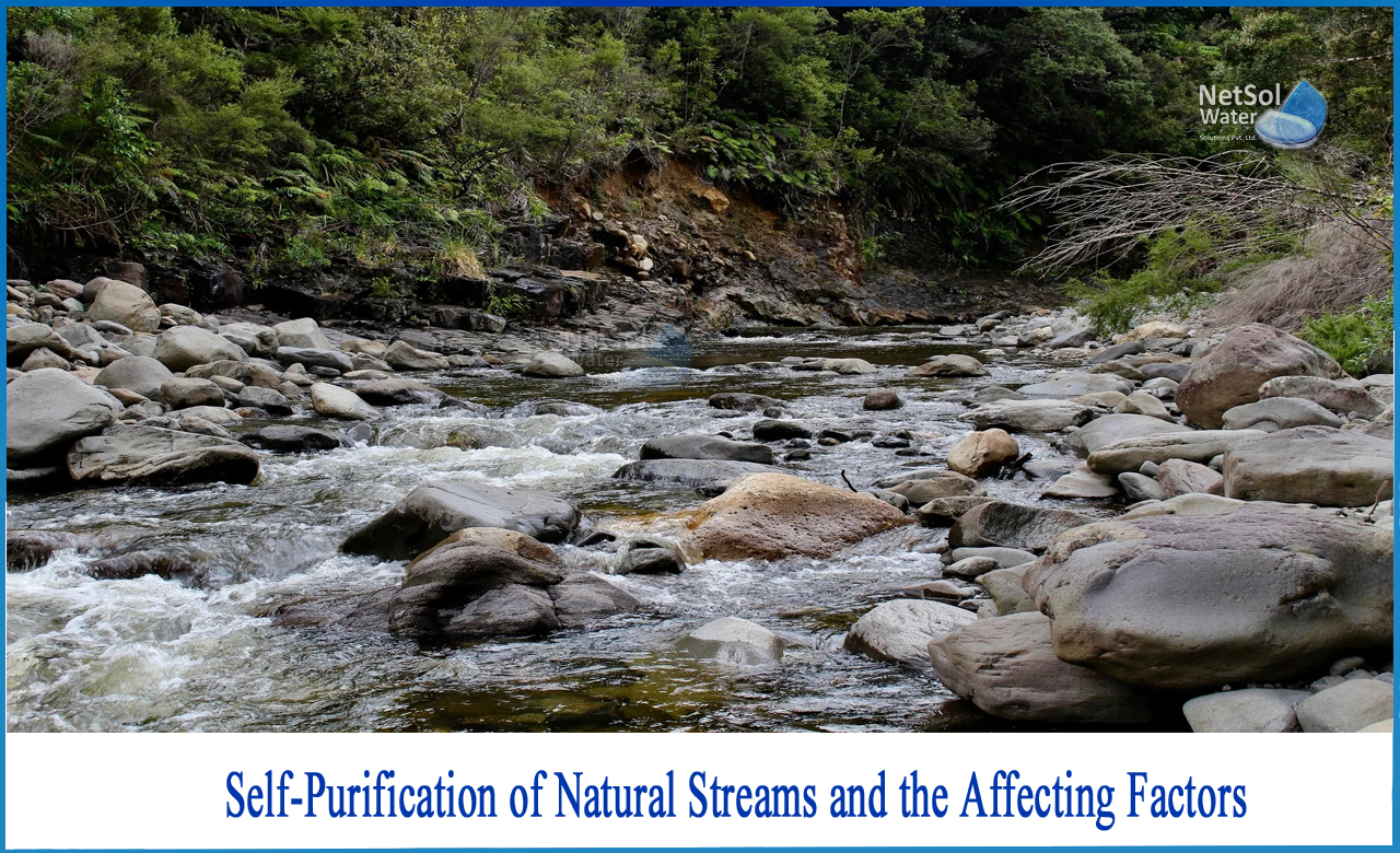 self purification of stream, state the mechanism of self purification of stream, process of self purification of natural water