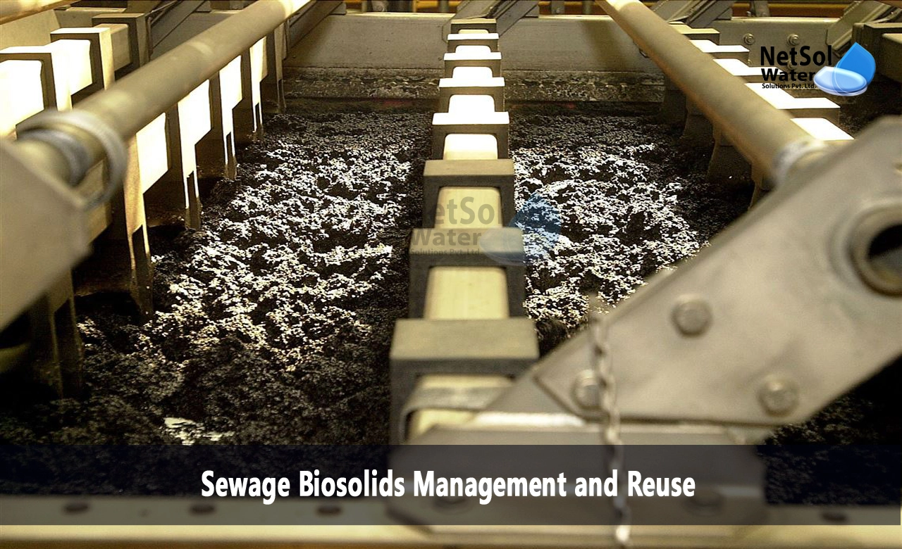 Sewage biosolids management and reuse in india, what are biosolids waste, Sewage Biosolids Management and Reuse