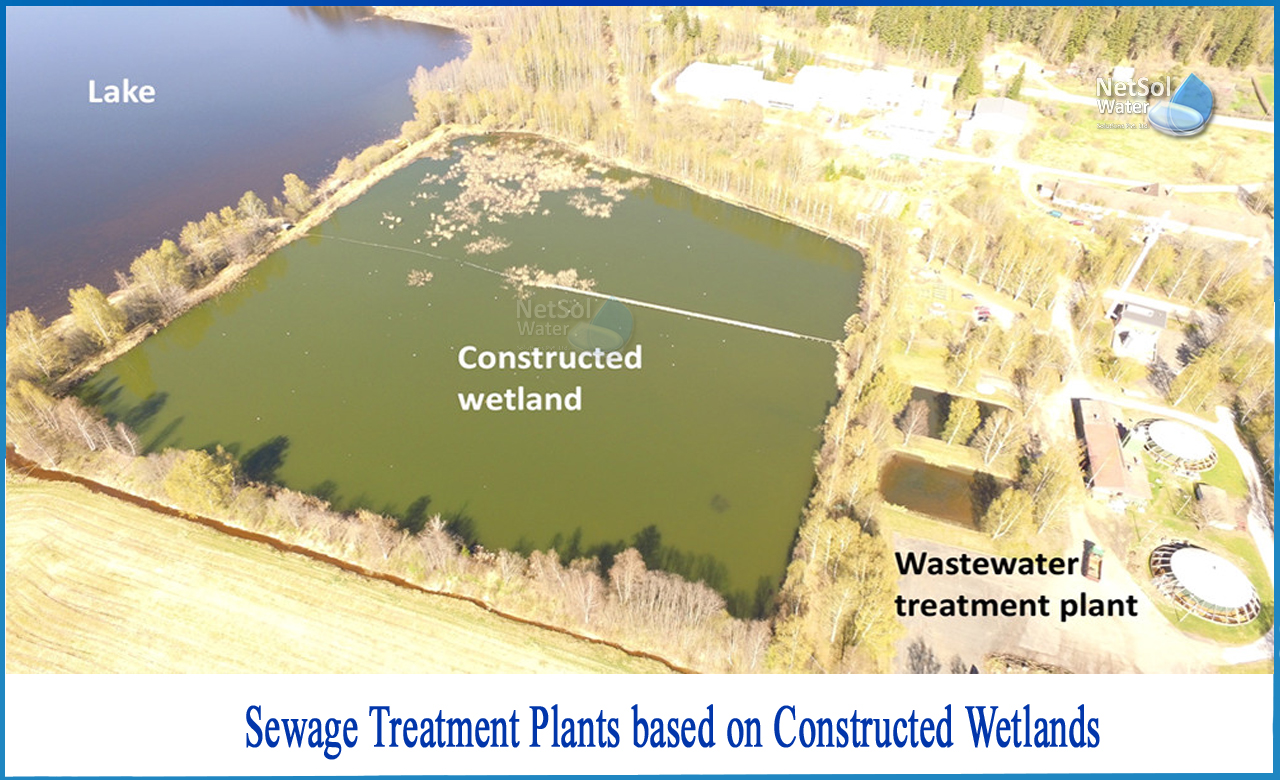 constructed wetlands for wastewater treatment, plants used in constructed wetlands, constructed wetlands for wastewater treatment in india