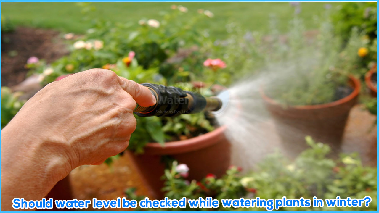 Should water level be checked while watering plants in winter?