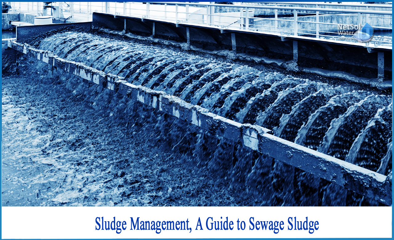 sludge treatment process flow diagram, wastewater sludge, sludge digestion