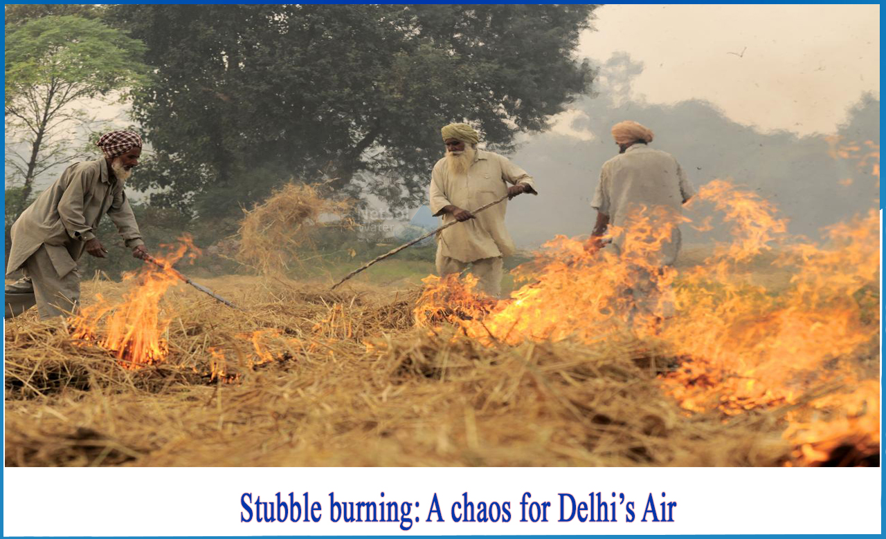 Stubble burning, What is the Environmental and Health Risks of Stubble burning