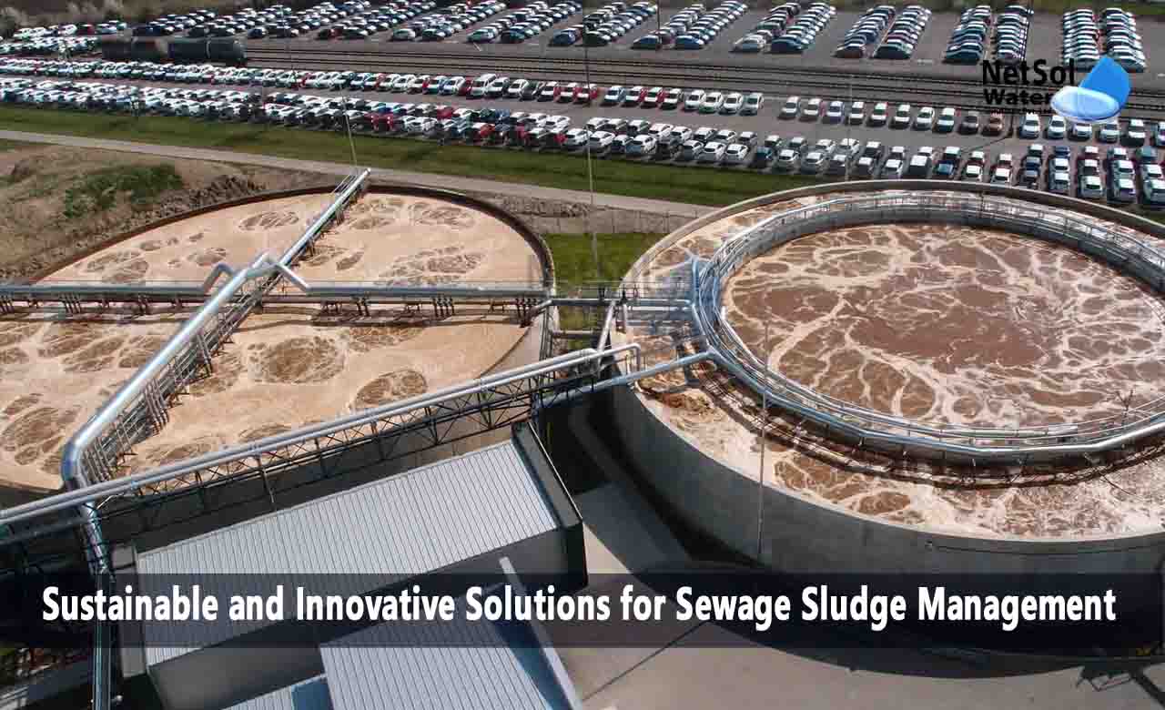 Sustainable and Innovative Solutions for Sewage Sludge Management, Innovative Approaches for Sustainable Sewage Sludge Management