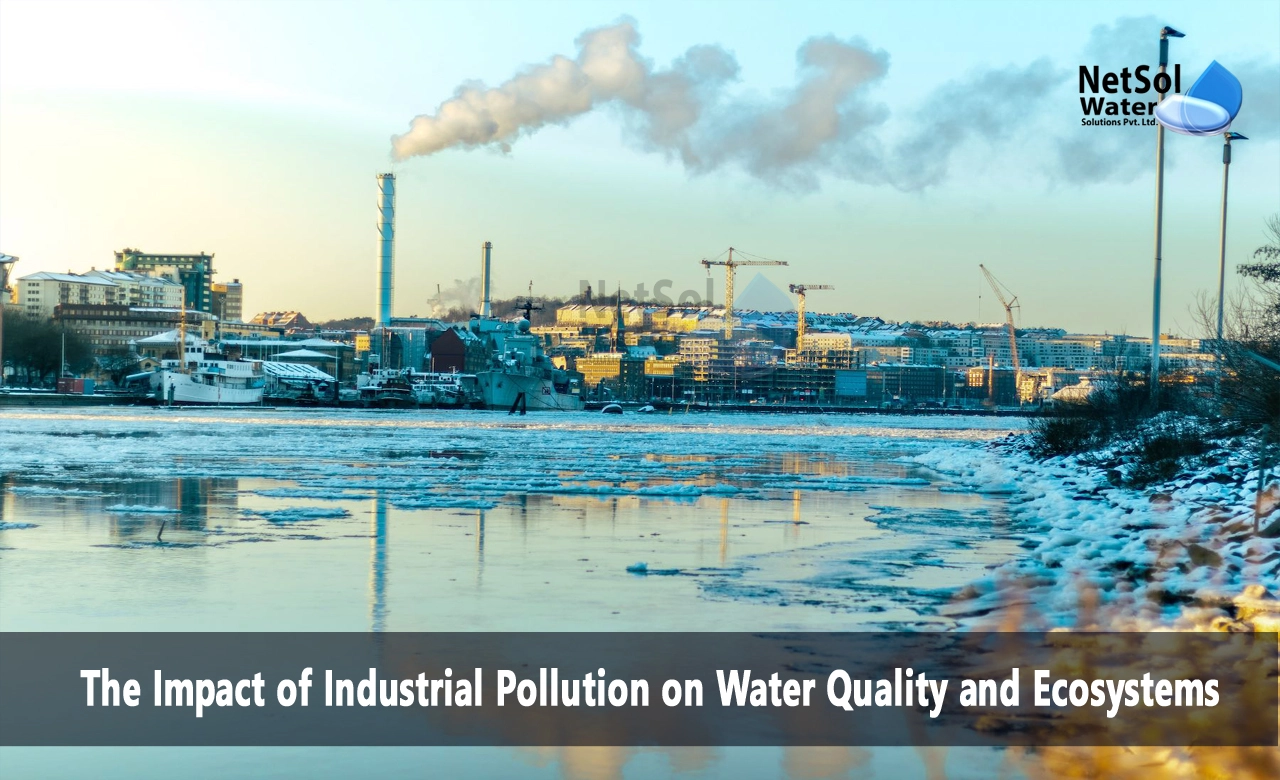 impact of industrial effluents on environment and humans, effects of industrial effluents on natural water bodies, how does industrial waste affect water pollution