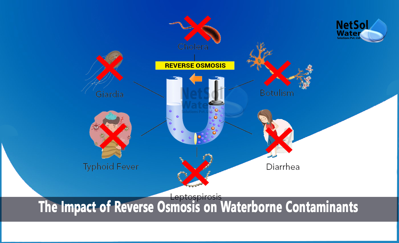 The Impact of Reverse Osmosis on Waterborne Contaminants