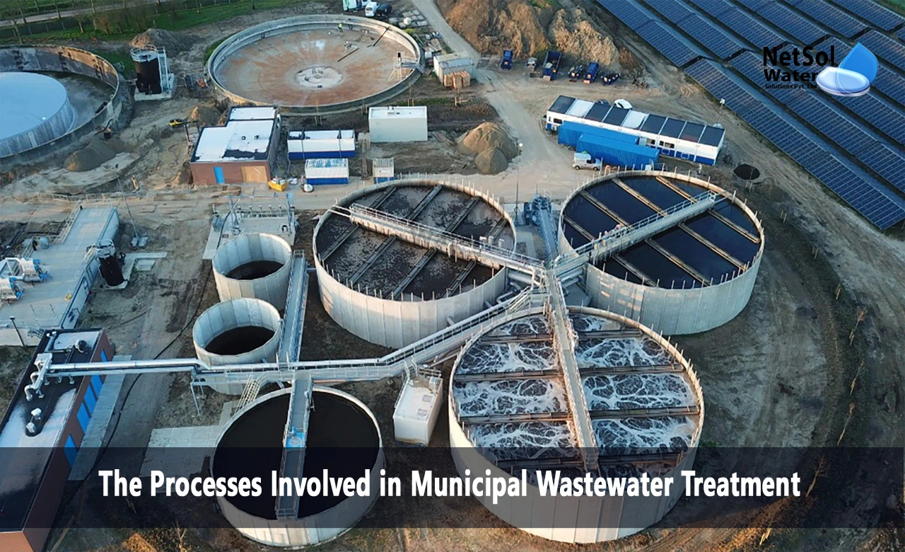 What process is used for the treatment of municipal water, What are the five steps involved in municipal water treatment