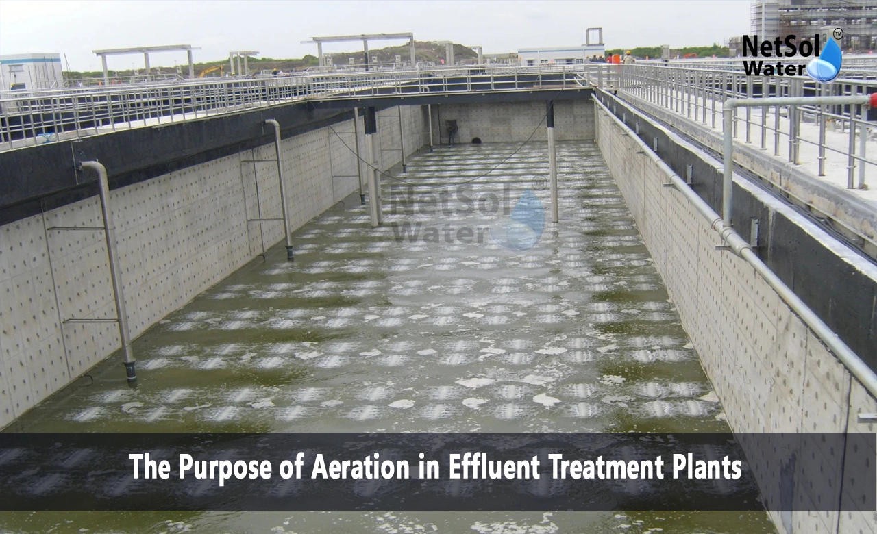 What is the purpose of aeration in sewage treatment plant, What is the function of the aerator, The Purpose of Aeration in Effluent Treatment Plants