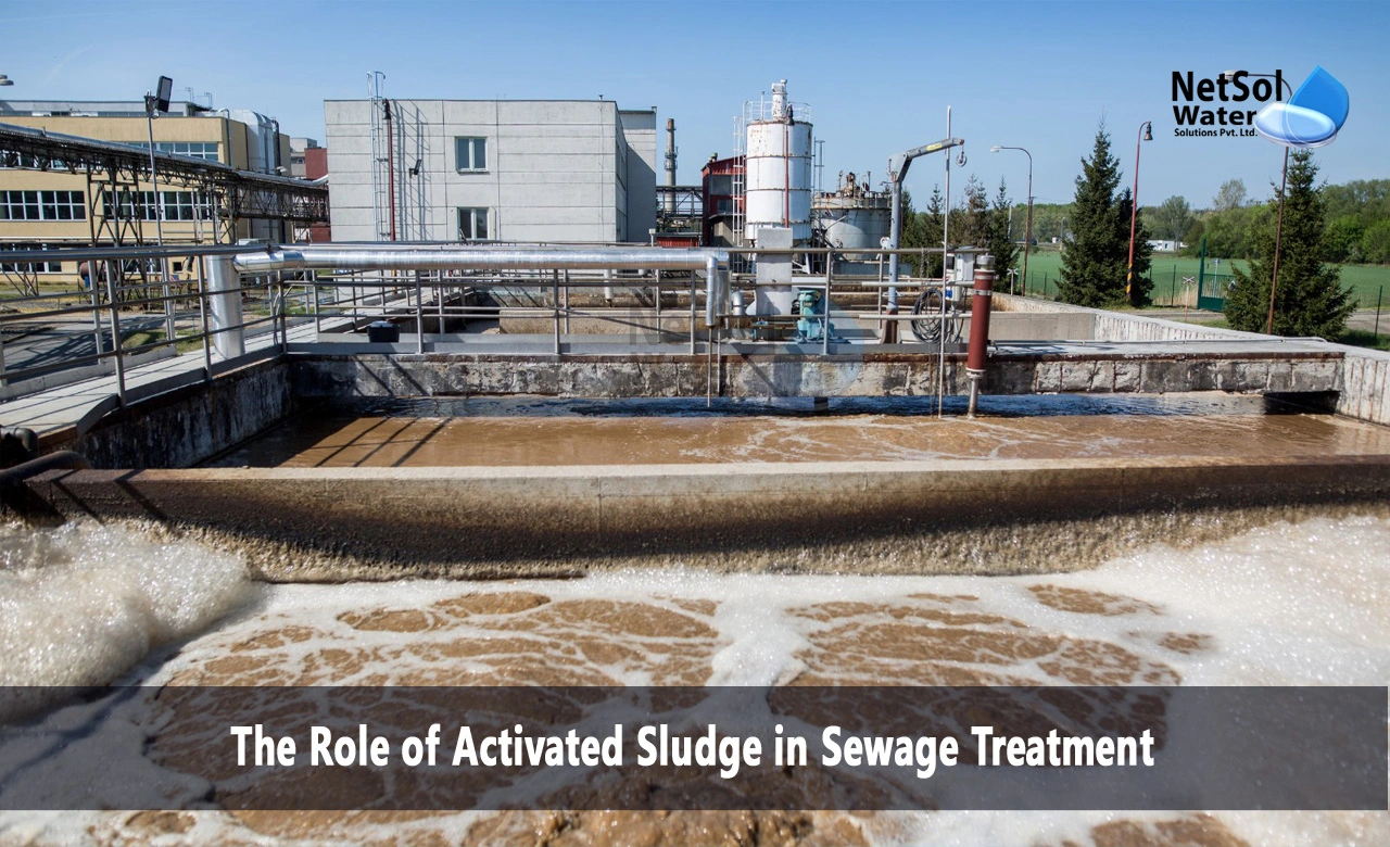what is activated sludge in wastewater treatment, activated sludge process, The Role of Activated Sludge in Sewage Treatment