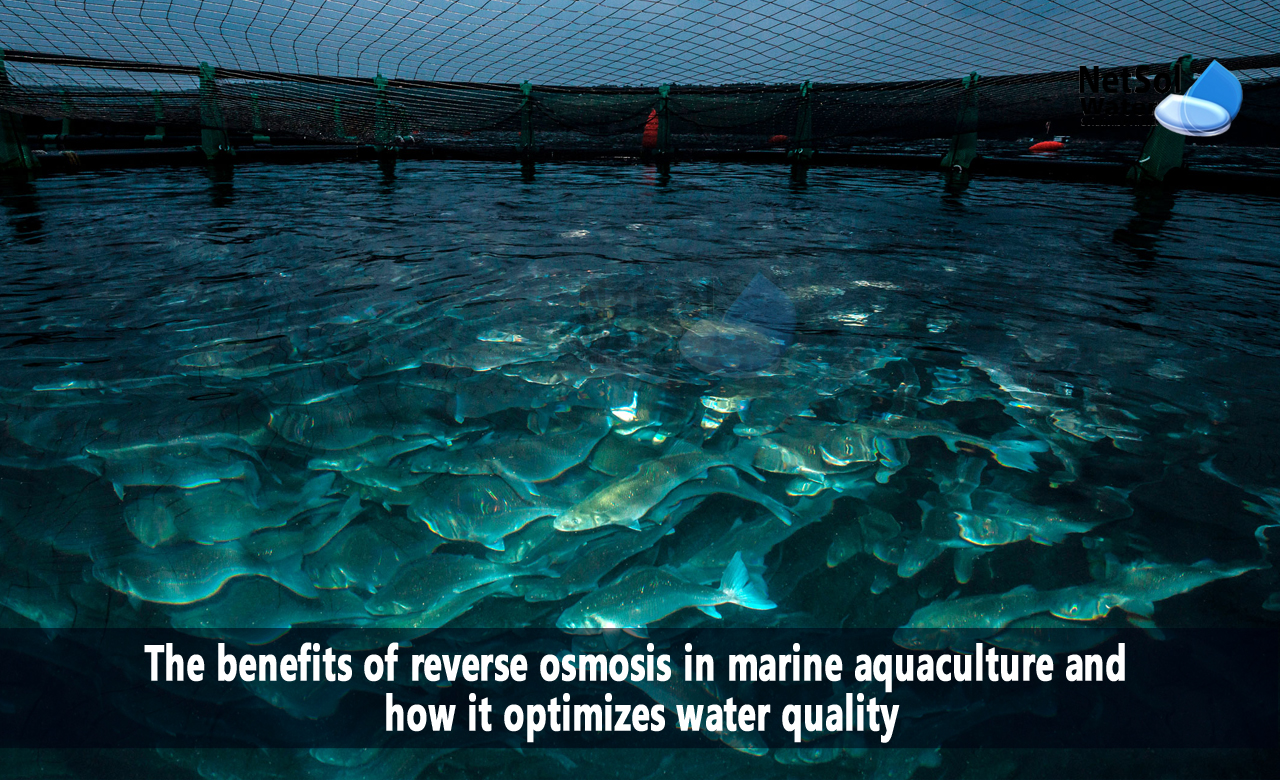 What are the benefits of reverse osmosis in marine aquaculture