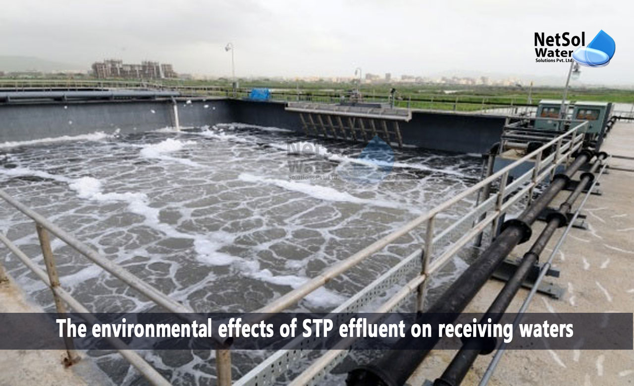 Sewage Treatment Plant Effluent Receiving Water Impacts, The environmental effects of STP effluent on receiving waters
