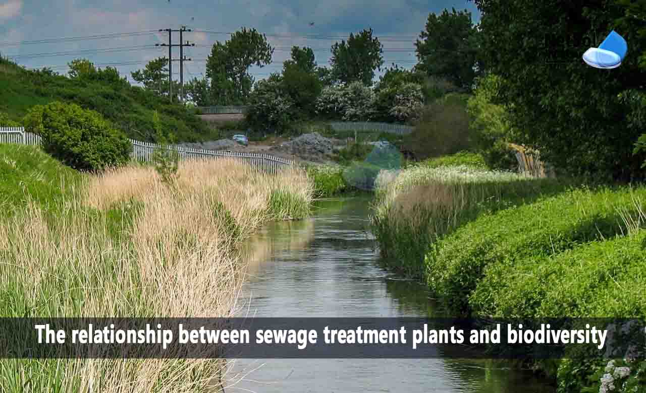 The relationship between sewage treatment plants and biodiversity, Mitigation Strategies for Sewage Treatment Plants, Impacts of Sewage Treatment Plants on Aquatic Biodiversity