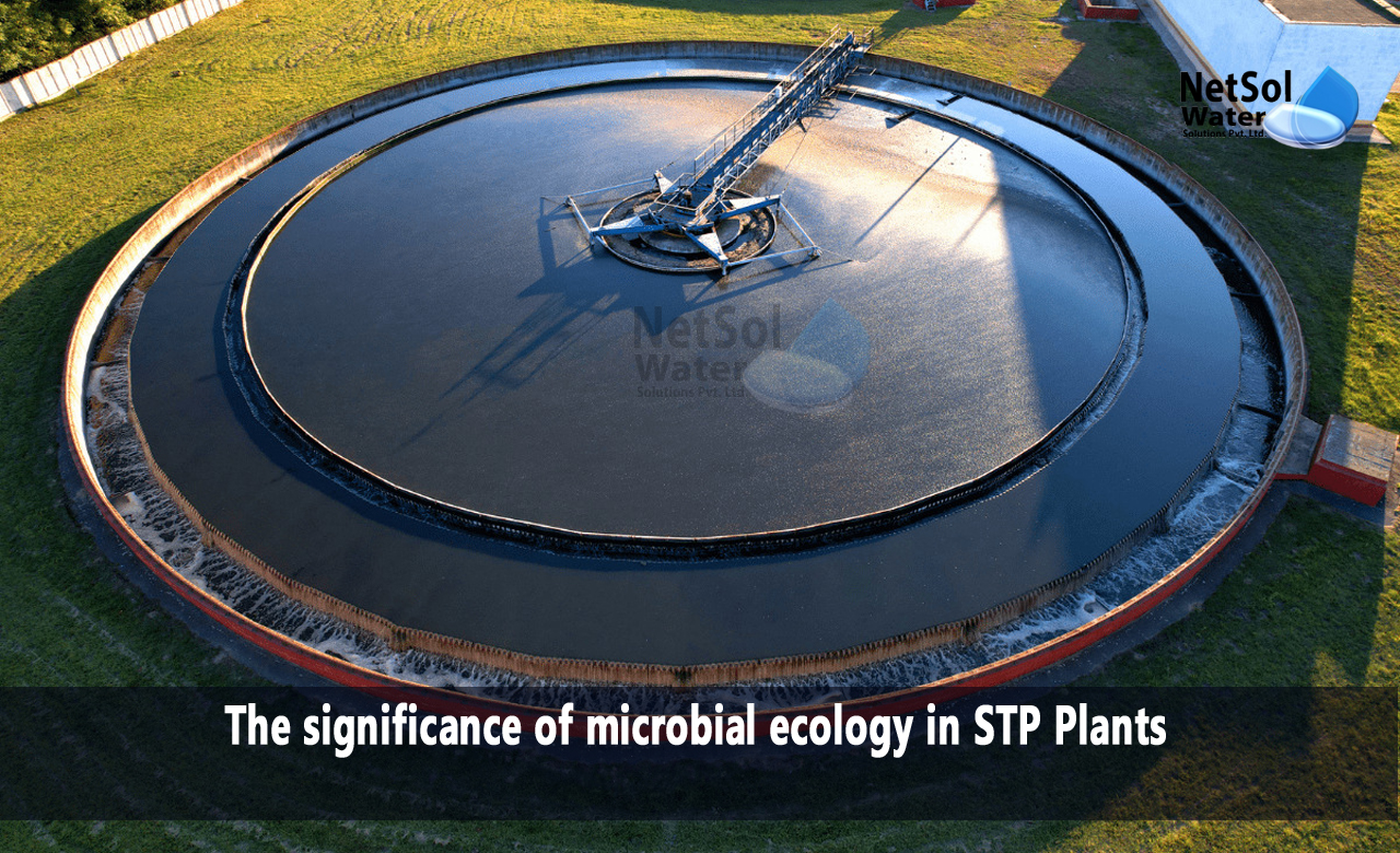 The significance of microbial ecology in STP Plants, Factors Influencing Microbial Ecology in STPs