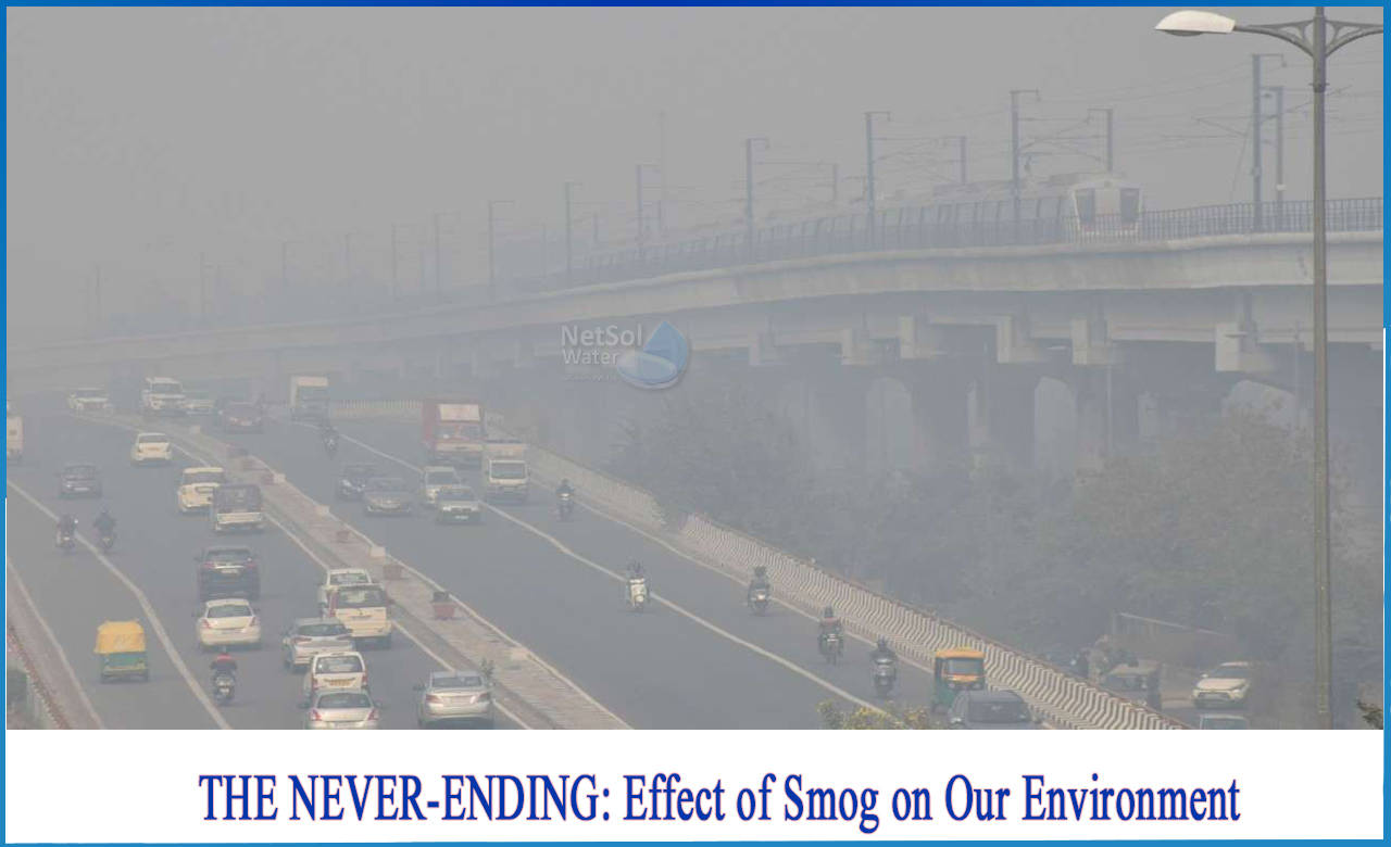 effects of smog on plants, effects of smog on human health, prevention of smog