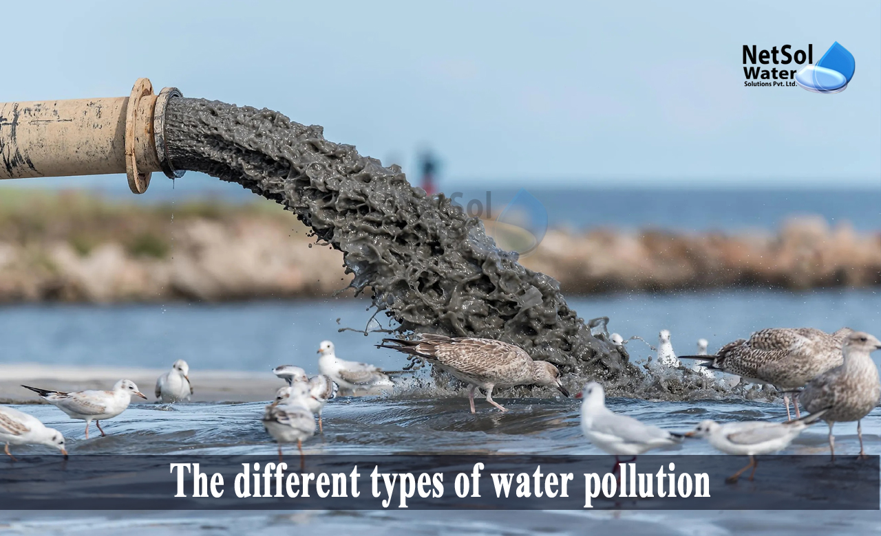 what are the 3 main types of water pollution, importance of water pollution, effects of water pollution