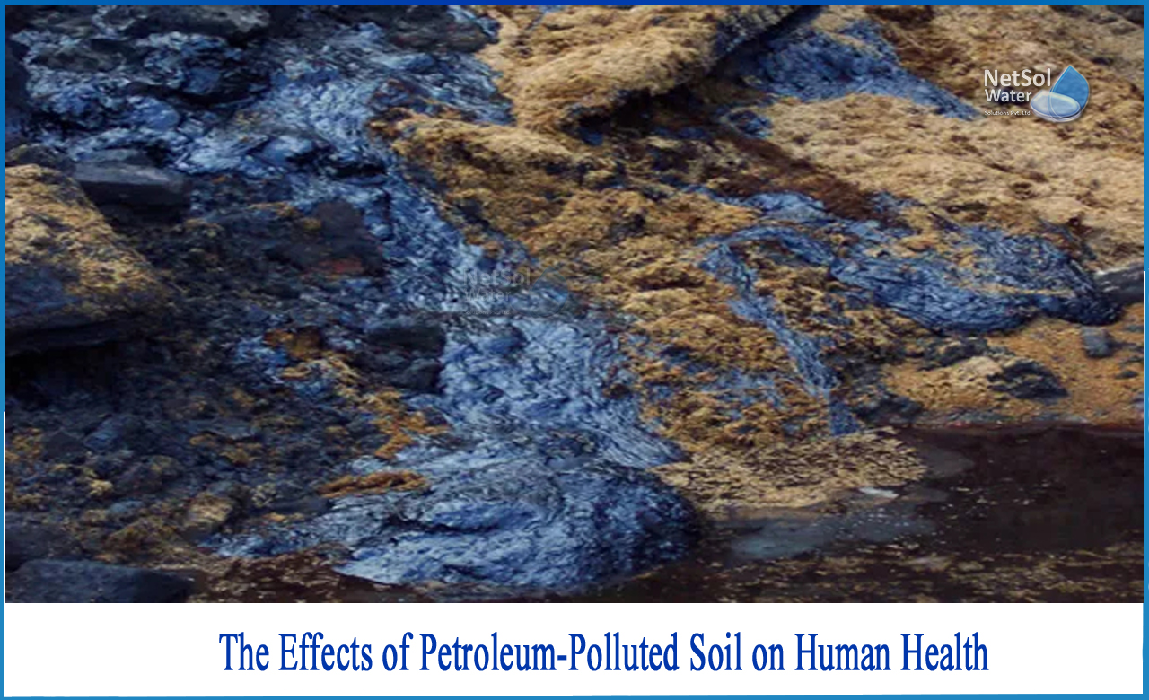 effect of petroleum hydrocarbon in soil, what are the effects of soil pollution on human health, effects of oil pollution on soil