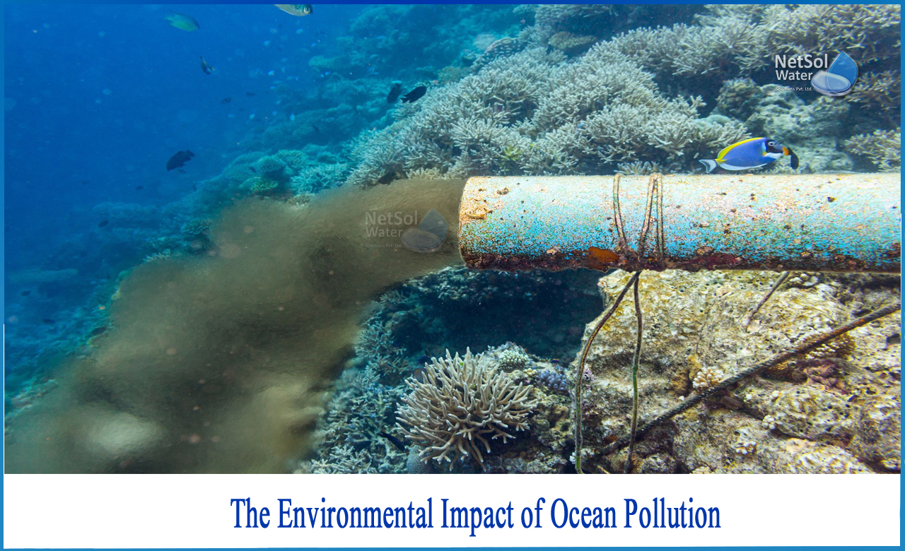 what are the effects of ocean pollution, what is ocean pollution, why is ocean pollution a problem
