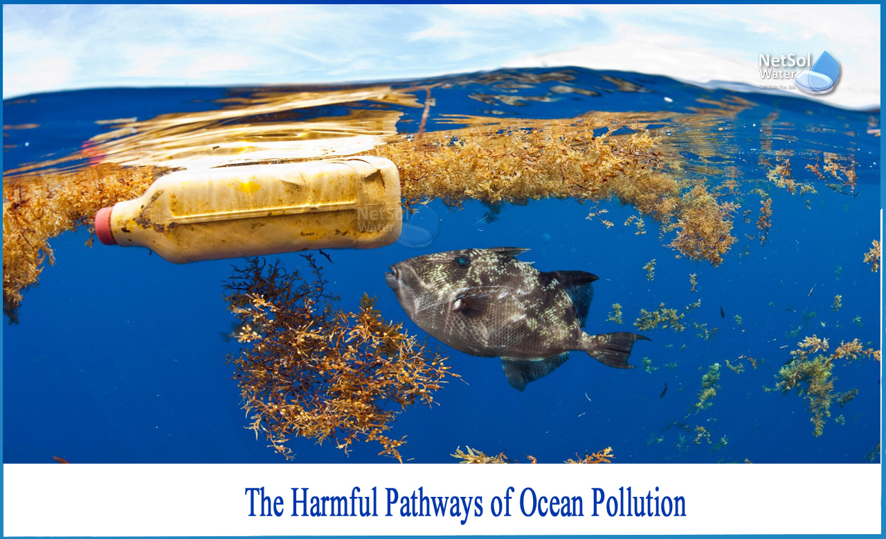 types of ocean pollution, what are the effects of marine pollution, what causes ocean pollution