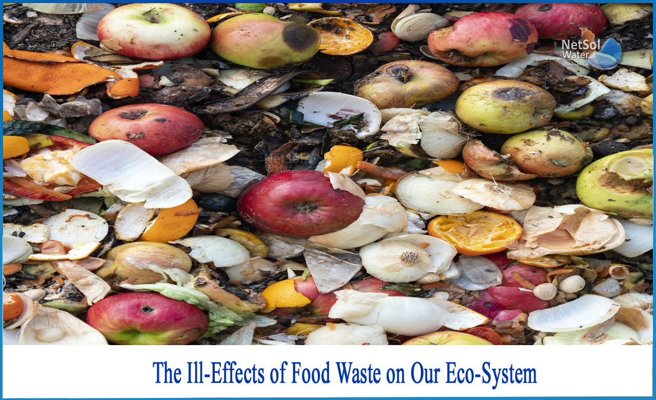 effect of food waste on environment, what are the effects of food waste, negative effects of food waste, what is food waste