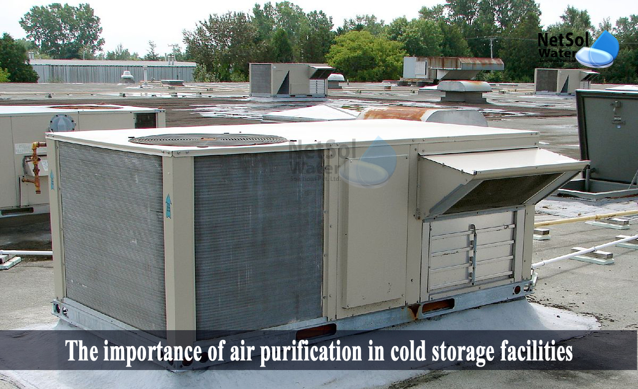 importance of air purification in cold storage facilities