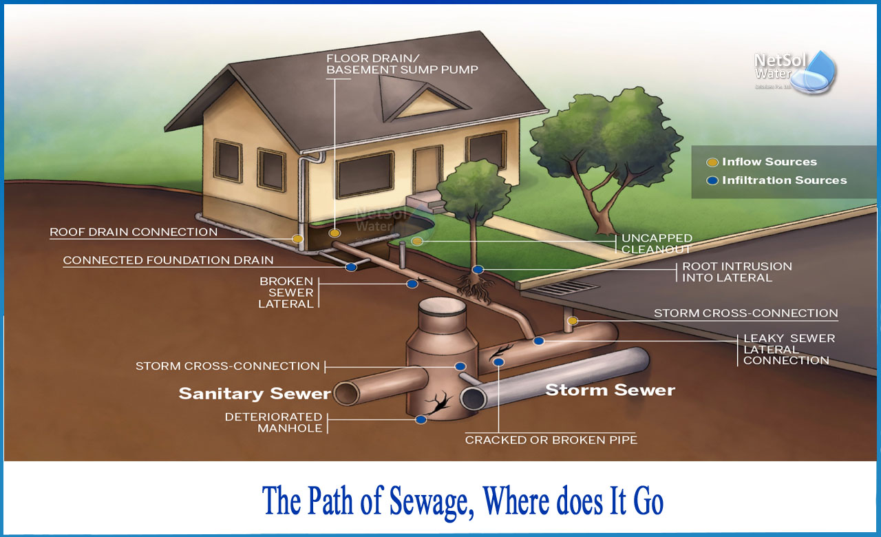where does human waste go after a sewage treatment plant, where does sewage come from, where does sewage go after treatment