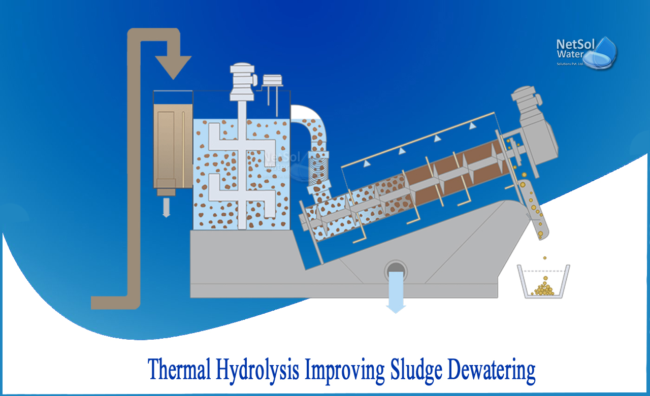 Thermal hydrolysis improving Sludge dewatering