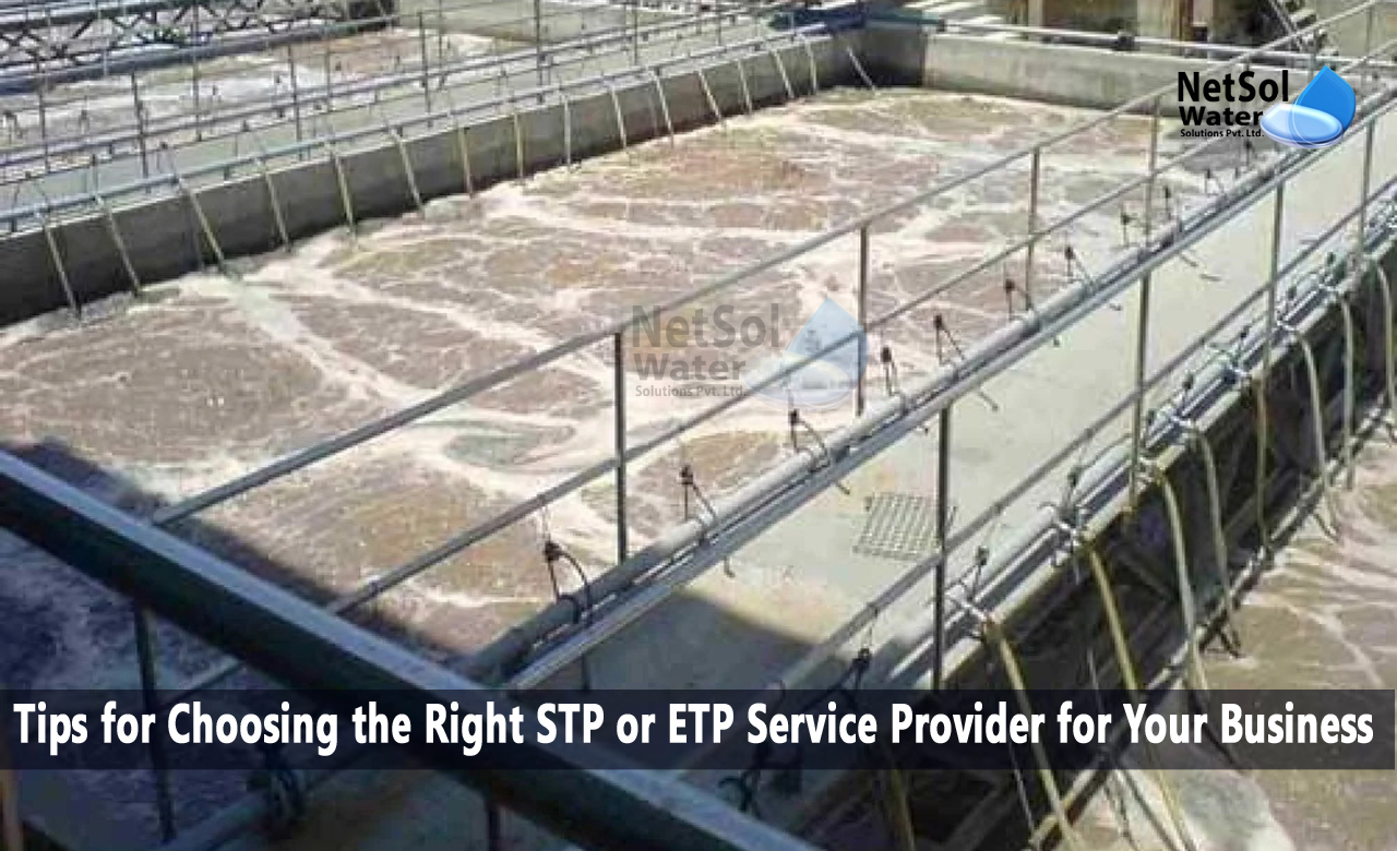 Tips for Choosing the Right STP or ETP Provider for Your Business