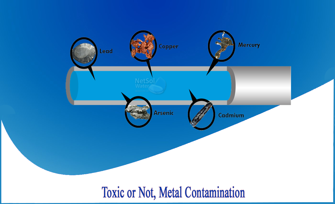effects of heavy metals in the body, heavy metal contamination, toxic metals, effects of heavy metal pollution