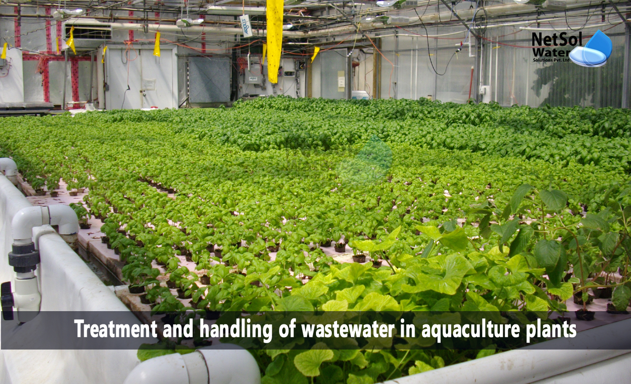 process for the reuse of aquaculture wastewater, 