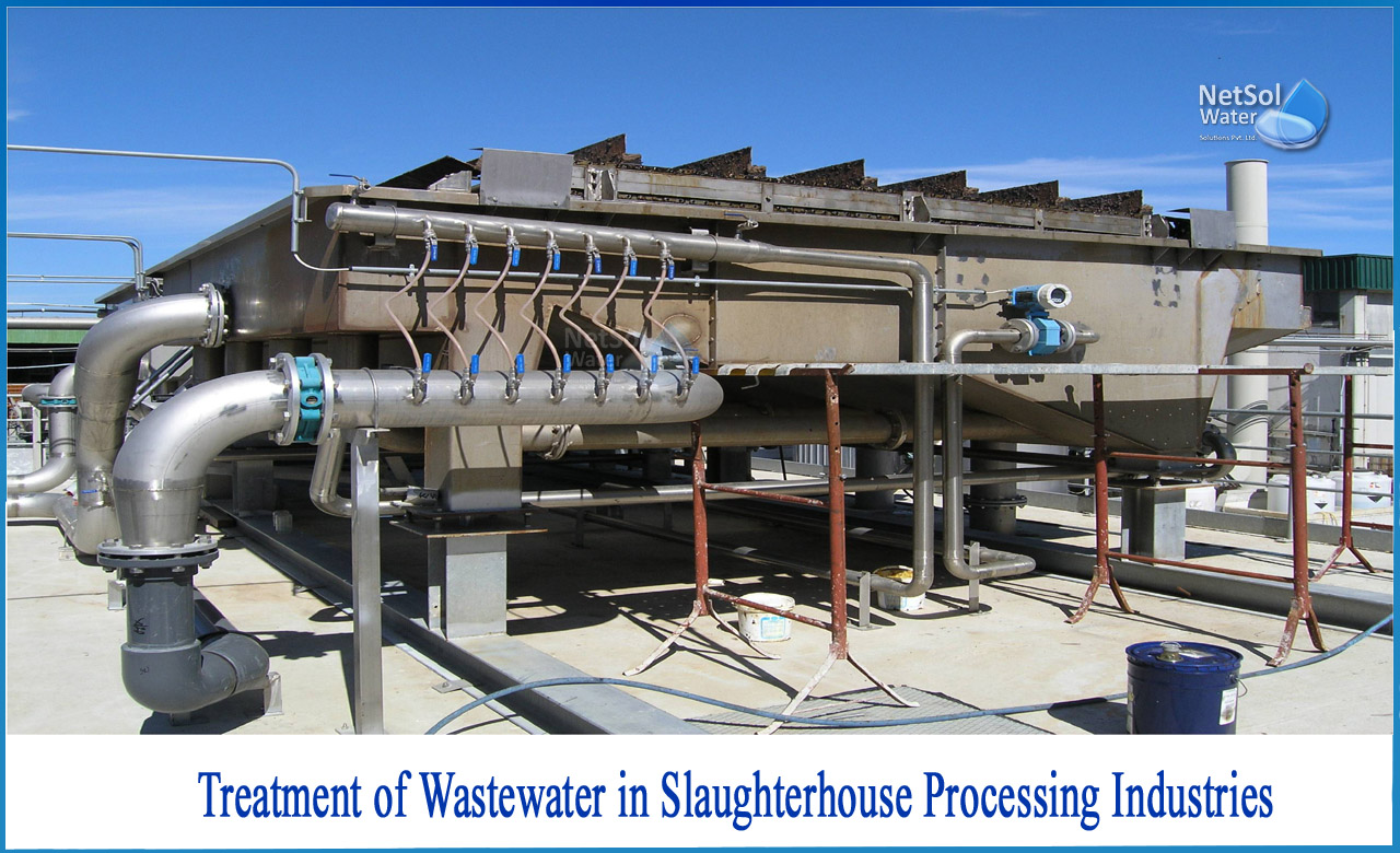 slaughterhouse wastewater treatment, water treatment process in meat processing industries, slaughterhouse wastewater treatment in india