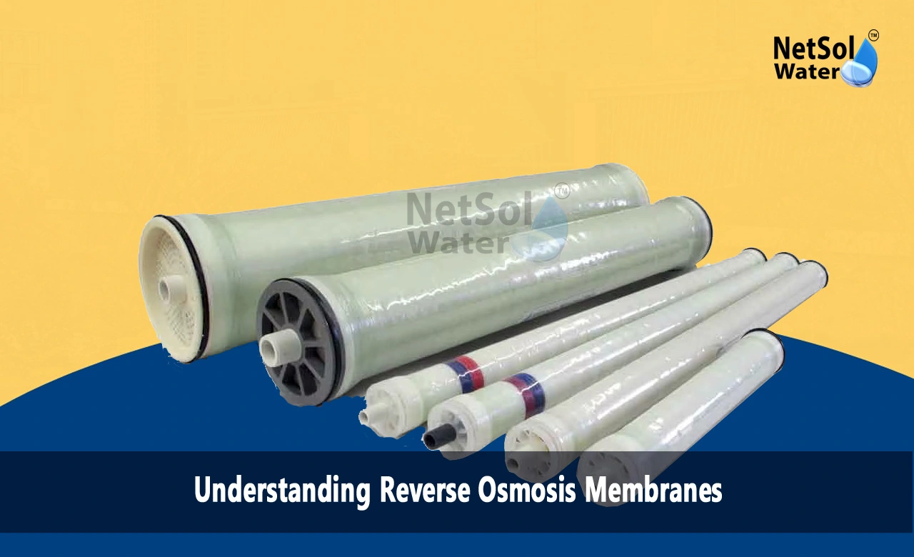 How does the membrane work in reverse osmosis, What is the principle of RO membrane, Which membrane is best for RO