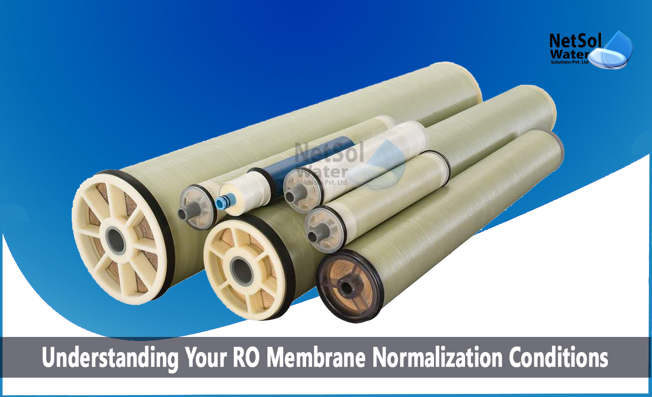 normalized permeate flow calculation, ro plant components and maintenance, industrial ro system maintenance