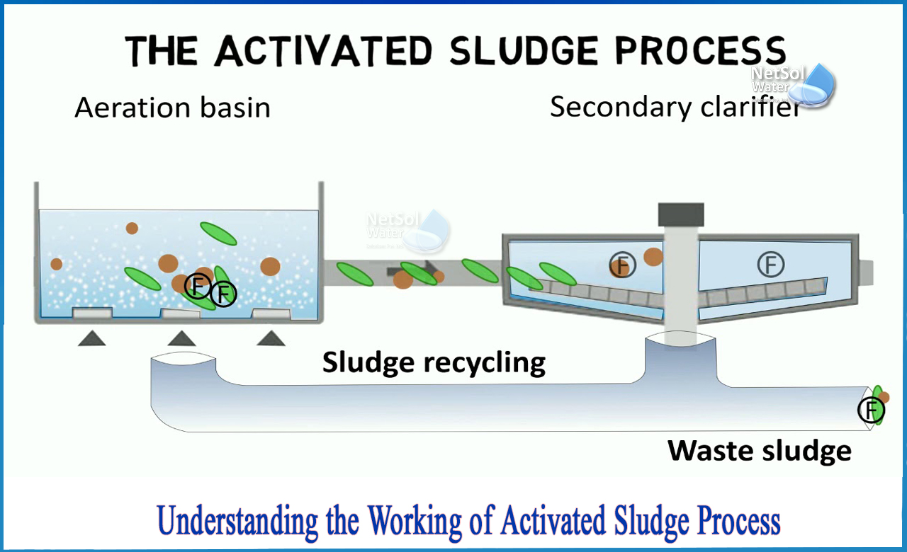 what is activated sludge process in wastewater treatment, types of activated sludge process, in the activated sludge process mcq